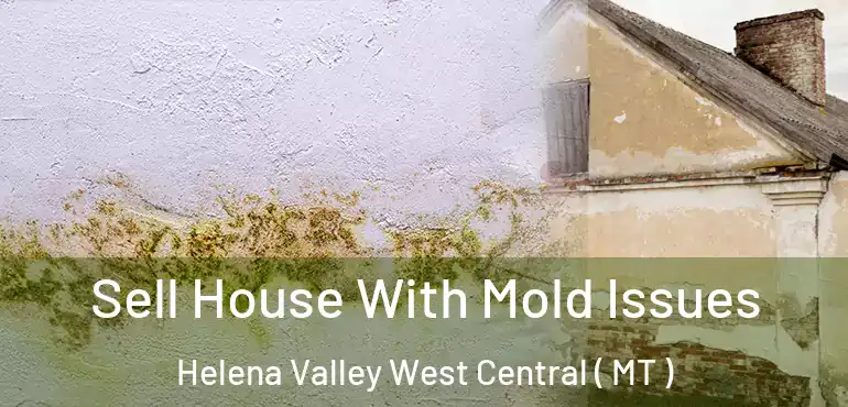  Sell House With Mold Issues Helena Valley West Central ( MT )