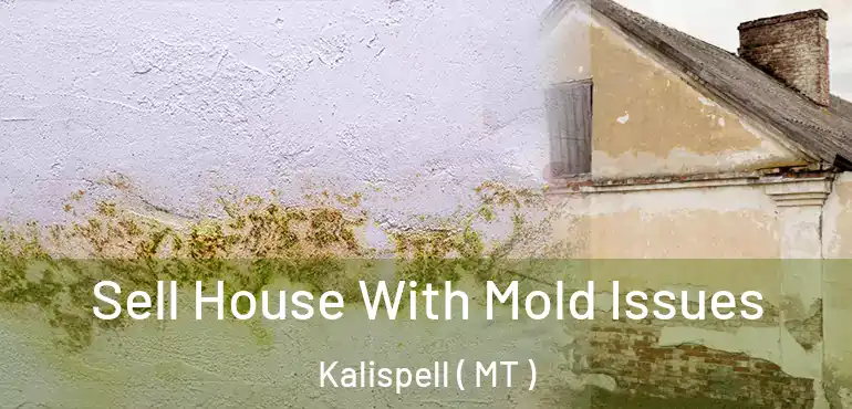  Sell House With Mold Issues Kalispell ( MT )