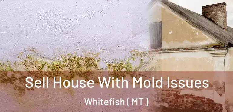  Sell House With Mold Issues Whitefish ( MT )